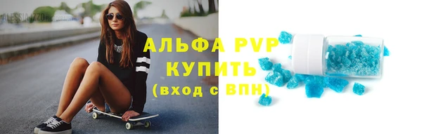 гидра Липки