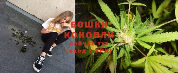 гидра Лиски