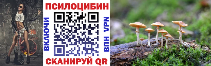 Галлюциногенные грибы прущие грибы  MEGA сайт  Шагонар  цены наркотик 